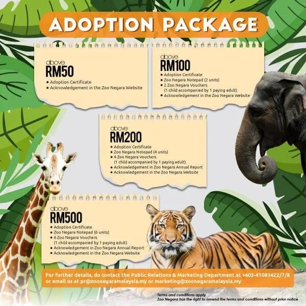 adoption packages