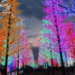 A Day in Selangor, Let’s Visit Shah Alam! icity light park by icity.v1