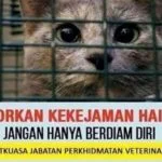 Department of Veterinary Services