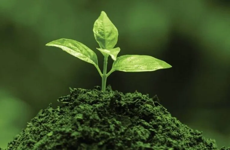 Announcing Joint Launch of Inaugural ‘Superfood Korea’ Event