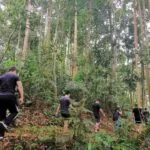 Explore Resorts World Genting’s Tropical Rainforest through Fun & Nature Package RWG Fun Nature Package