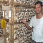 Business Flourishes for Former Engineer Erwan and his oyster mushrooms featured