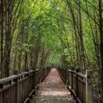 taman alam kuala selangor @tourismselangor-insta.v4