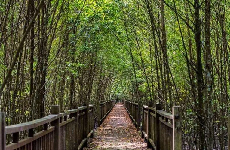 9 Eco-Adventure Locations in Selangor