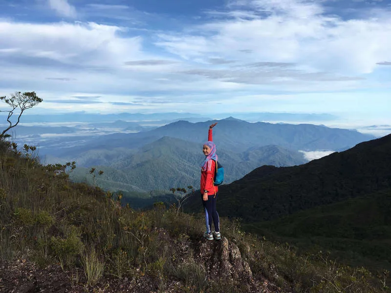 Magnificent Mt Tahan (highest point in Peninsular Malaysia) worth the repeat! See, don't just look. Located in Pahang.