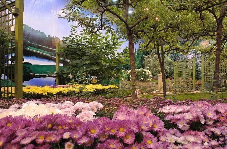 The Top 5 Agro Tourism Destinations In Selangor
