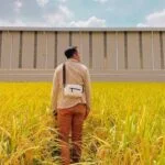 7 Accessible Selangor Tourist Destinations Away From The Crowd Sekinchan Paddy featured