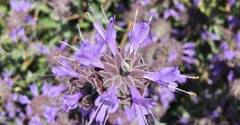 Yoga for Terrible Times