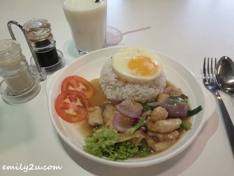 Ginger and Onion Chicken Dish Rice