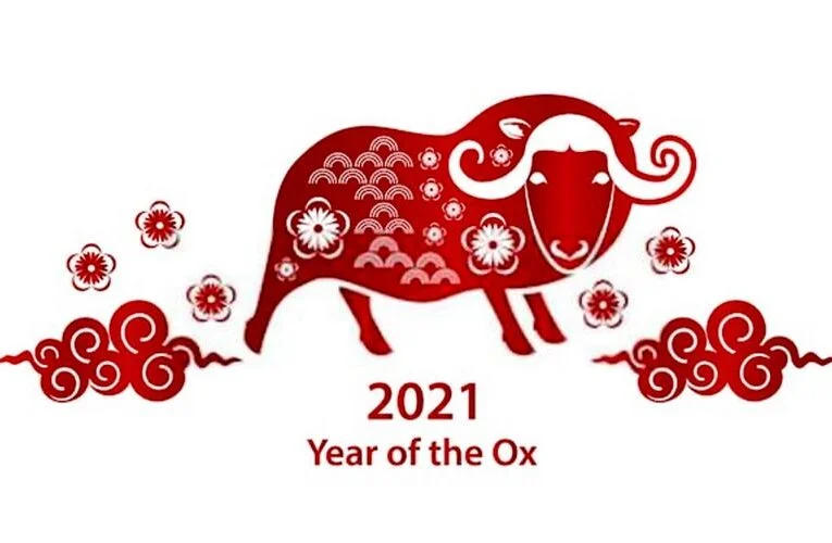Happy Niu Year 2021