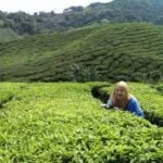 Zuzanna in Cameron Highlands