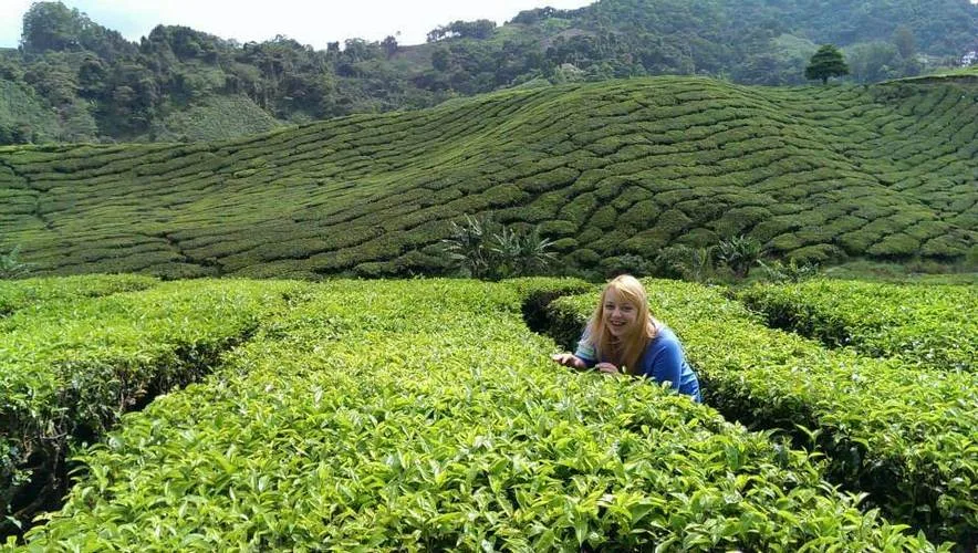 Zuzanna in Cameron Highlands