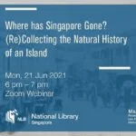 Histories Where has Singapore Gone