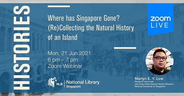 Histories: Where Has Singapore Gone?