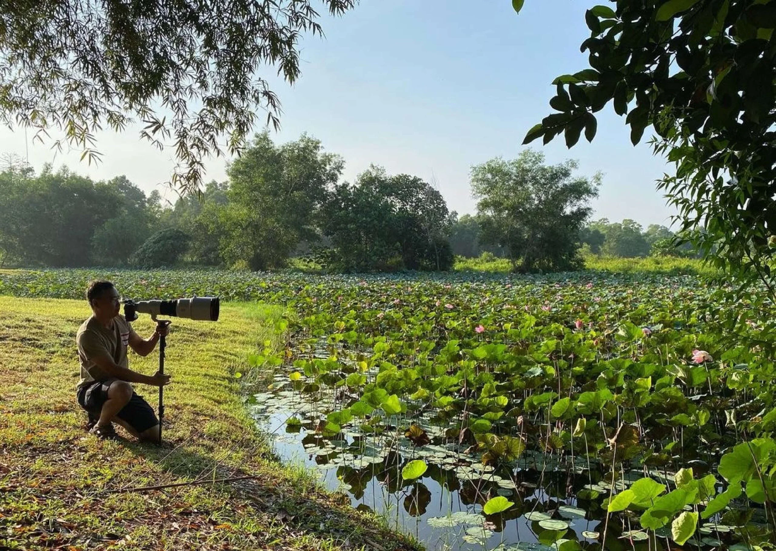 Paya Indah Wetlands