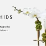 Plant Shed