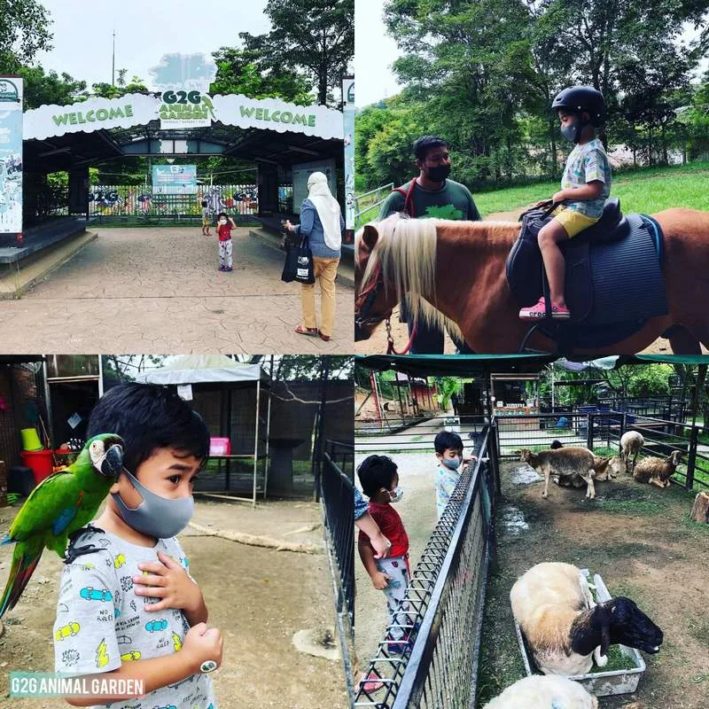 G2G Animal Garden