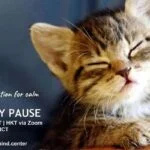Mindfulness Meditation: Wednesday Pause Mindfulness Meditation: Wednesday Pause
