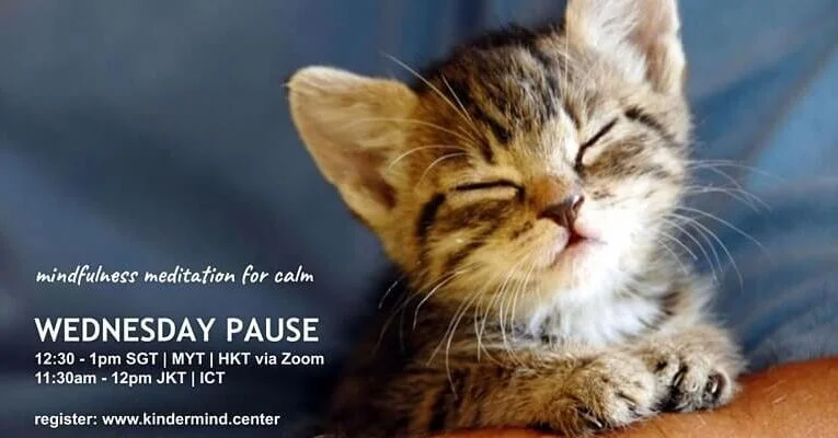 Mindfulness Meditation: Wednesday Pause