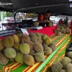 durian