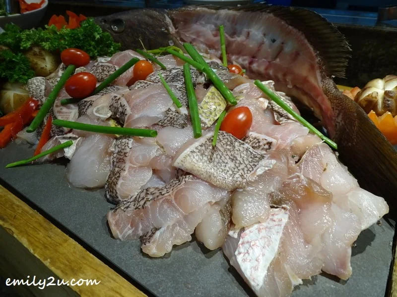 Garoupa Fillet Fish