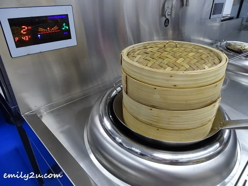 high-tech induction cooker and electric wok with electronic control panel