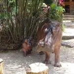 Majlis Berendoi thumbnail