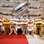 12 troupes from all over Malaysia took part in the Acrobatic Lion Dance Championship 2.0 at Ipoh Parade