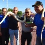 55th Ipoh Car Free Day snake thumbnail