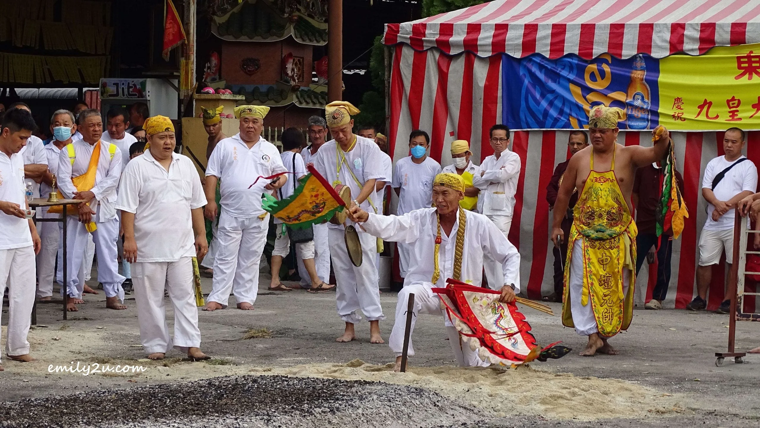 the Chief Master (Lead Sifu)