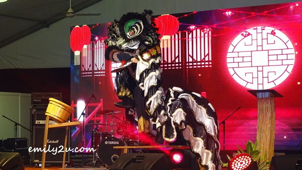 lion dance performance