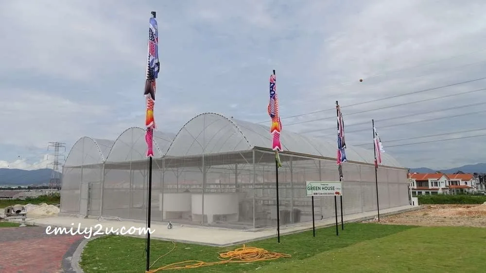 Green house for communal use