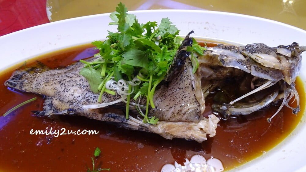Steamed Golden Grouper with Soy Sauce