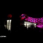 LED dragon dance performance in the dark