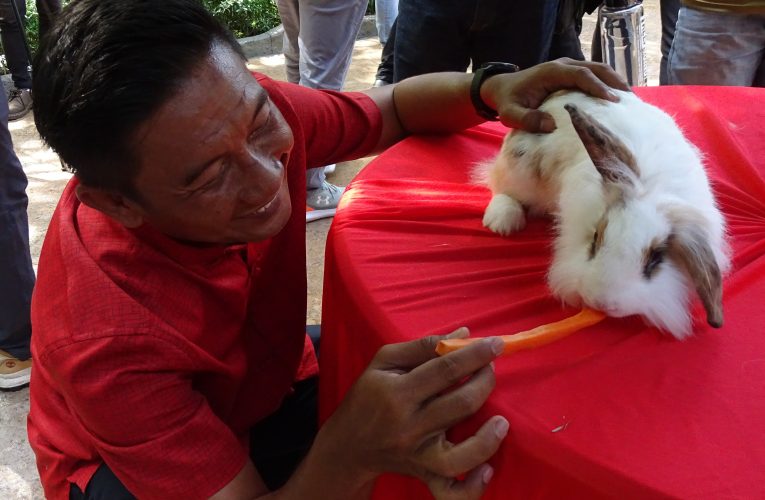 Launch of Rabbit Wonderland to Celebrate Year of the Rabbit