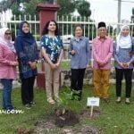 13 Green Earth Tree Planting
