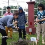 6 Green Earth Tree Planting