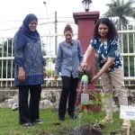 Green Earth Tree-Planting Initiative