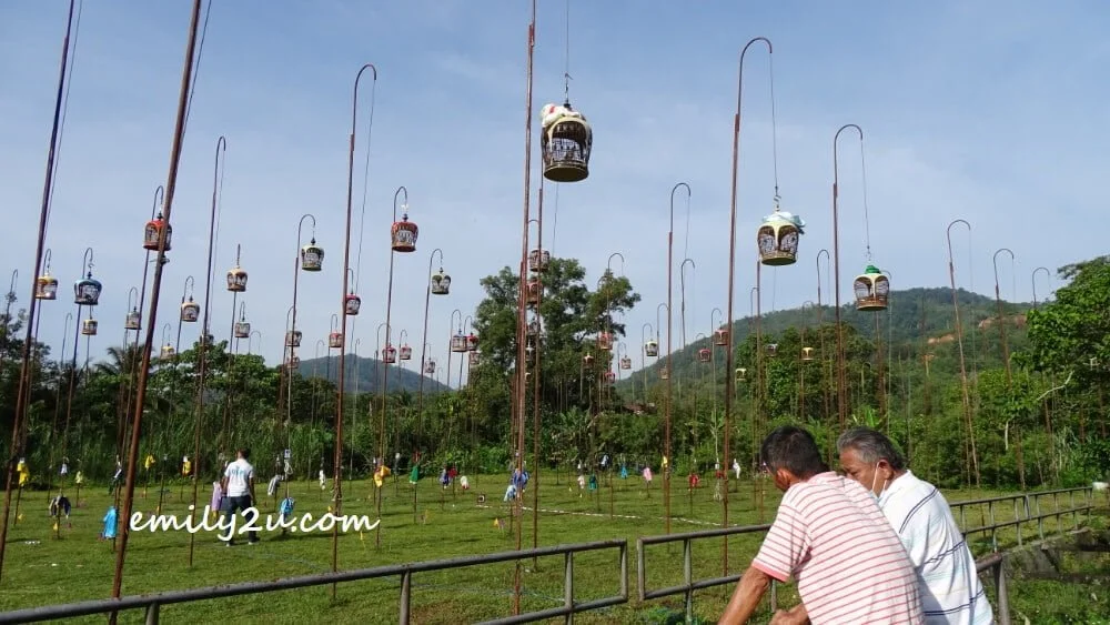 merbok competition is in progress