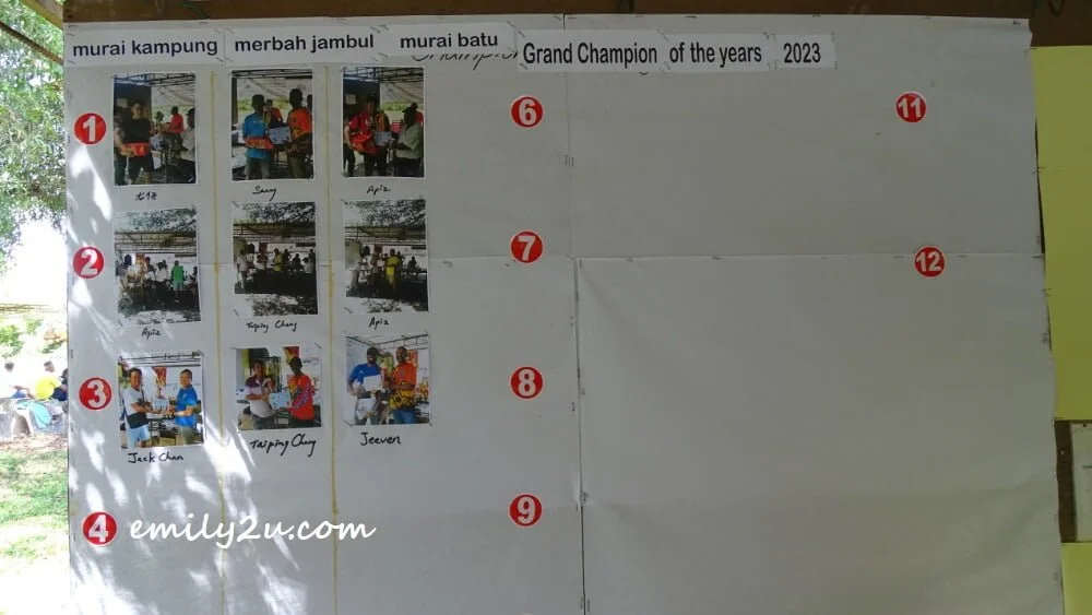 the winners since Jan 2023