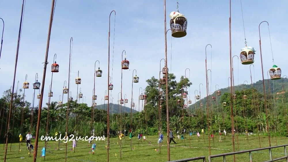 this monthly competition attracts hobbyists from different states of Peninsular Malaysia