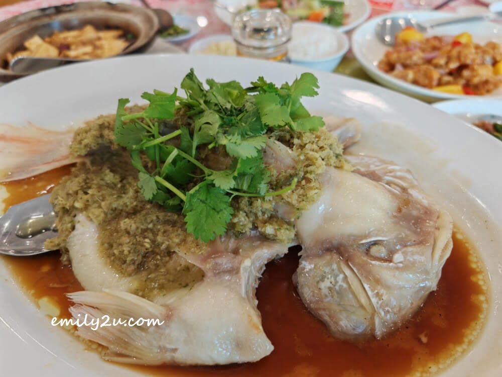 Steamed Tilapia with Homemade Ginger Paste