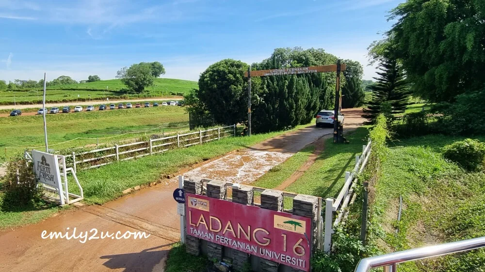 Farm Fresh UPM is one of the stops for Route 2, available on Sundays