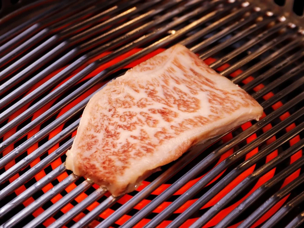 Grilled A5 Miyazaki Sirloin
