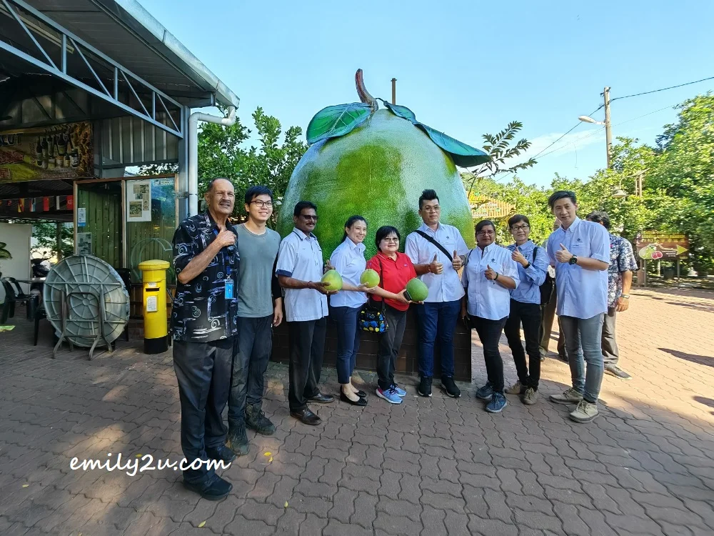 photoshoot at GoChin Tambun Pomelo Agro Farm