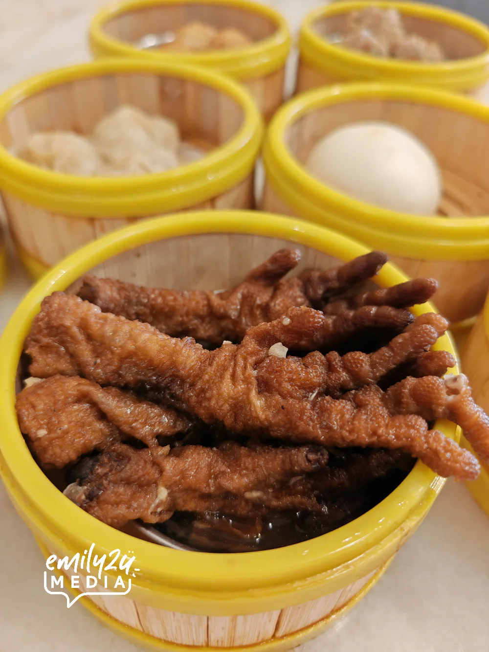 Braised Chicken Feet (Phoenix Claws)