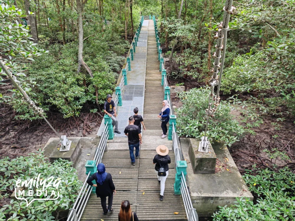 aerial view from the suspension bridge