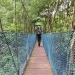 Taman Paya Bakau Bandar thumbnail