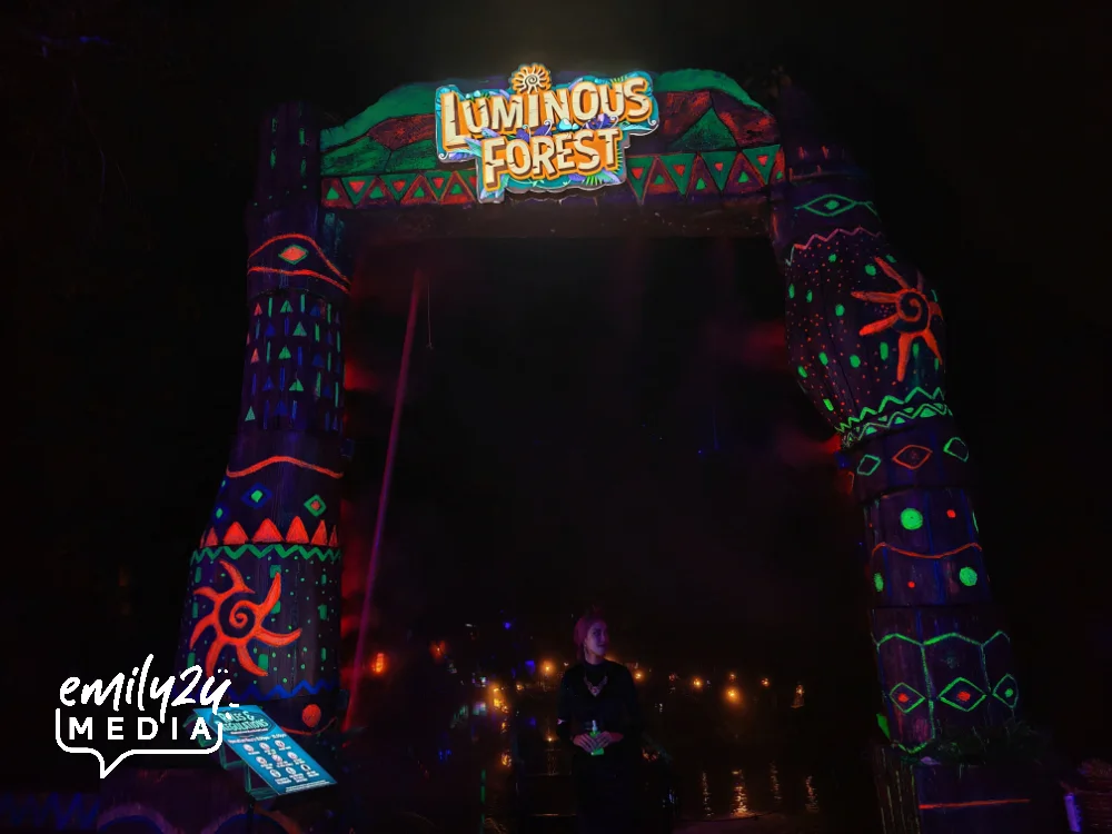 Luminous Forest