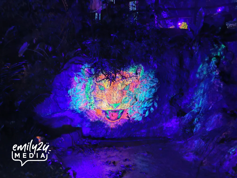 Luminous Forest